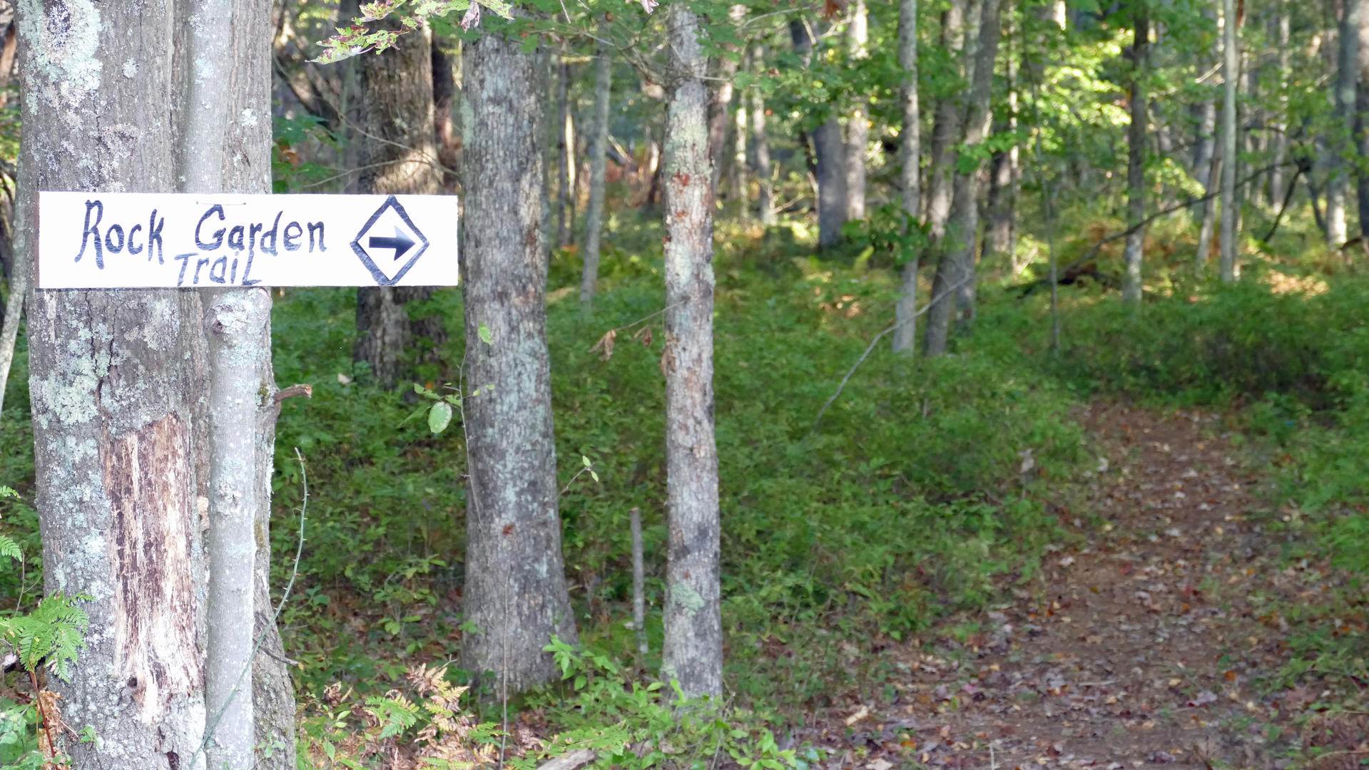 Trailhead Rock Garden