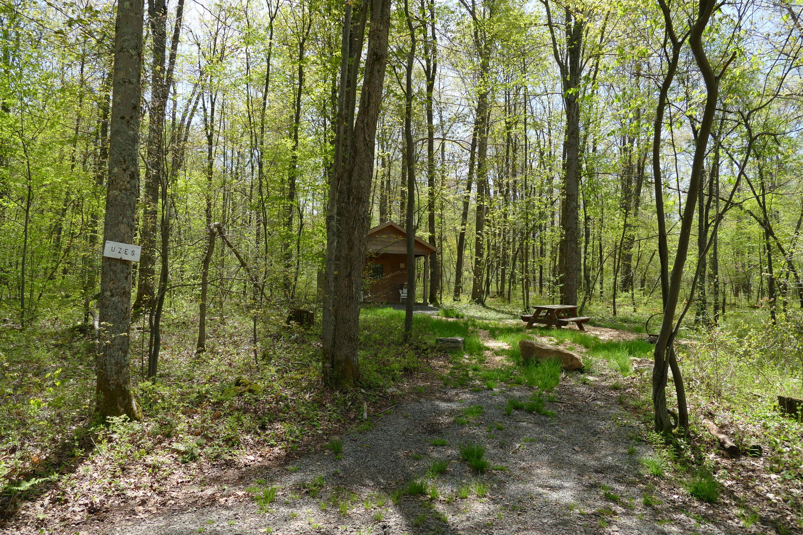 surrounding forest for Uzes