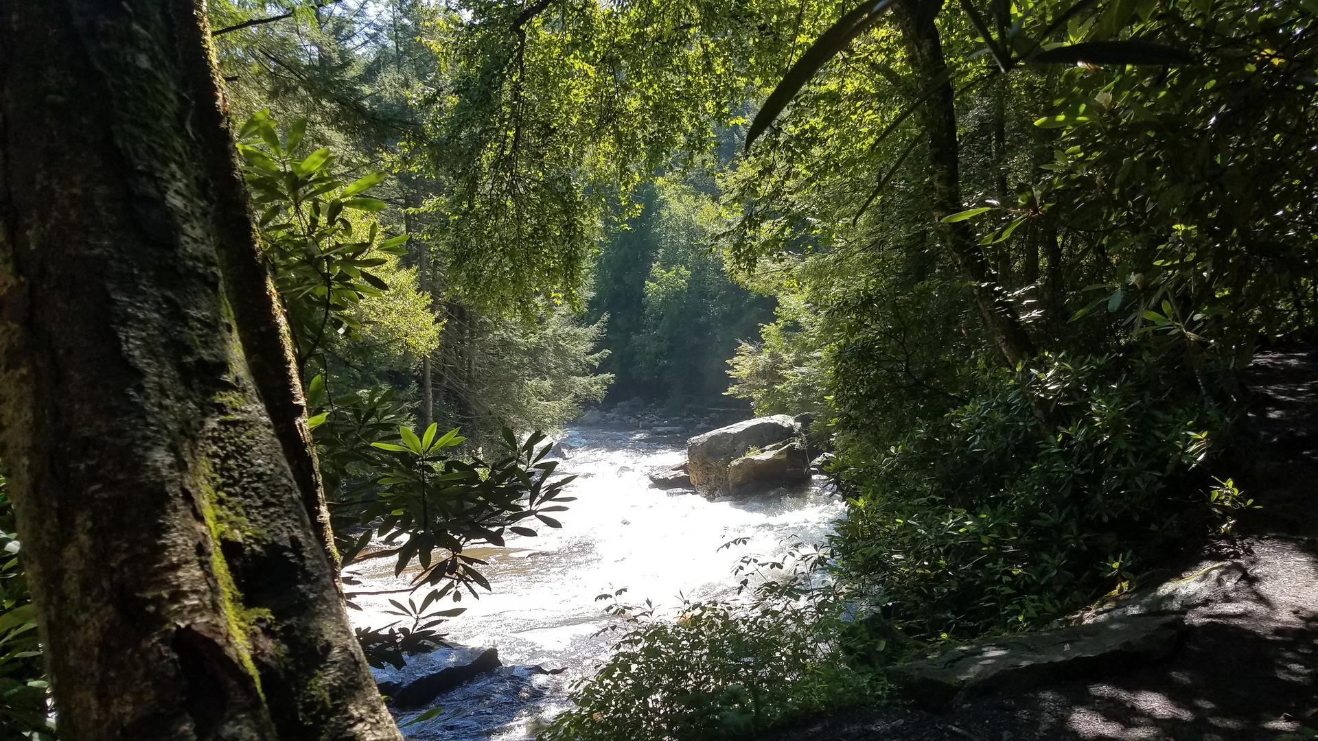 Swallow Falls trails and view