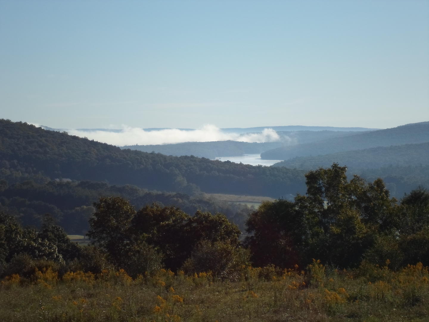 lakeview with morning fog