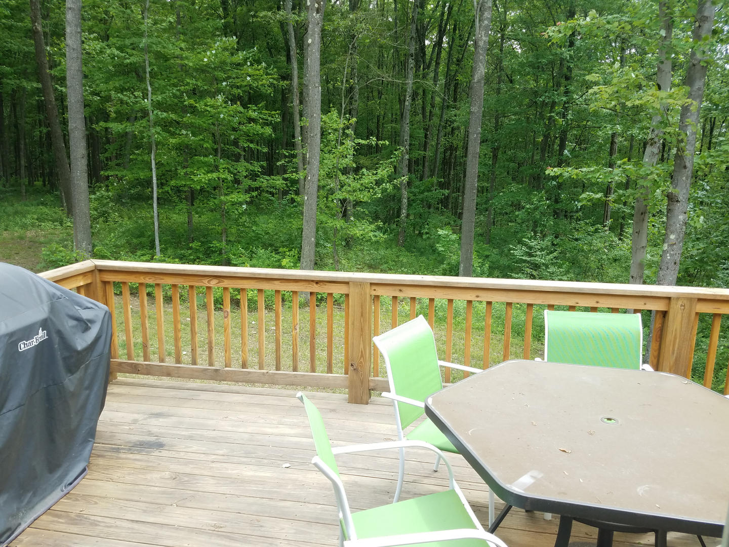 Back Deck