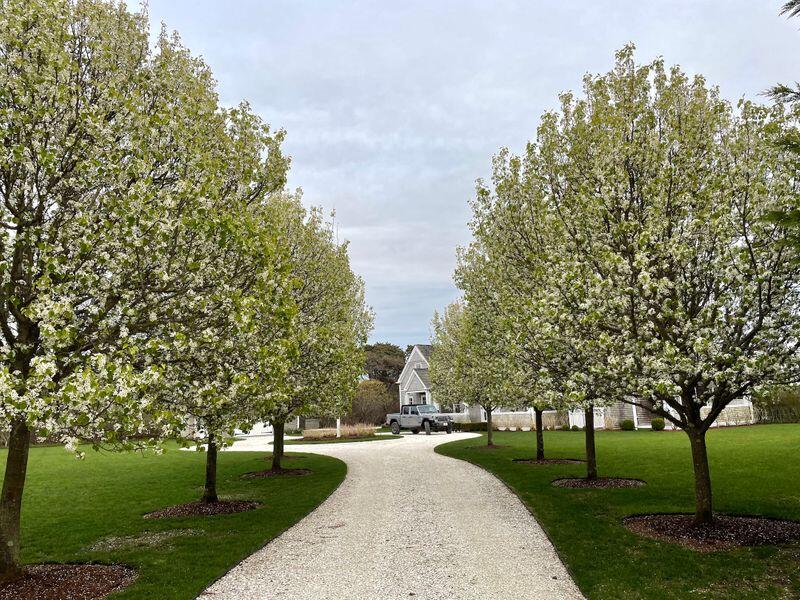 21 Woodbine Street