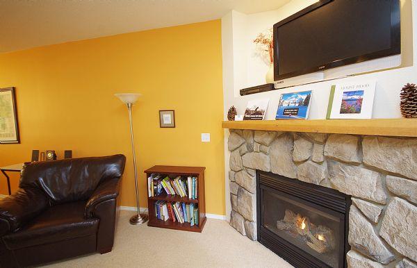 Living Room Gas Fireplace and Tv