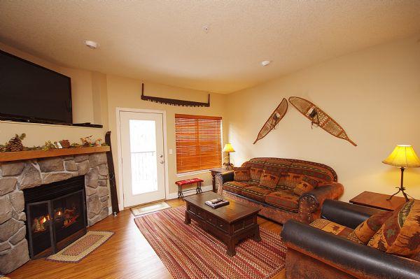 Living Room Gas Fireplace and Tv