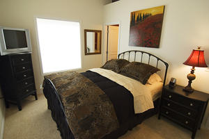 Master Bedroom (Queen Bed)