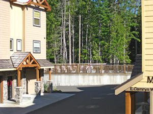 View from Back Deck