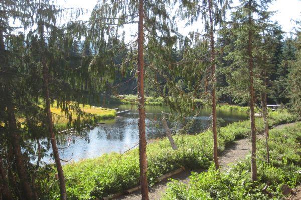 View of Collins Lake and the Scenic Trail from Private Deck 