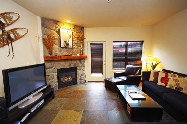 Gas Fireplace and Tv