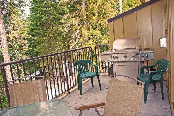 Enjoy the Patio Furniture and Grill 