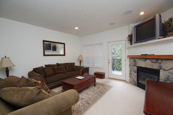 Living Room with Gas Fireplace and Tv