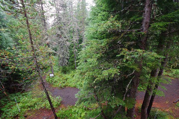 View from Private Patio