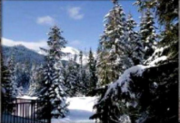 View of the snow covered Collins Lake and Skibowl Slopes