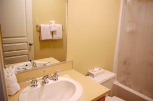 Private Master Bathroom