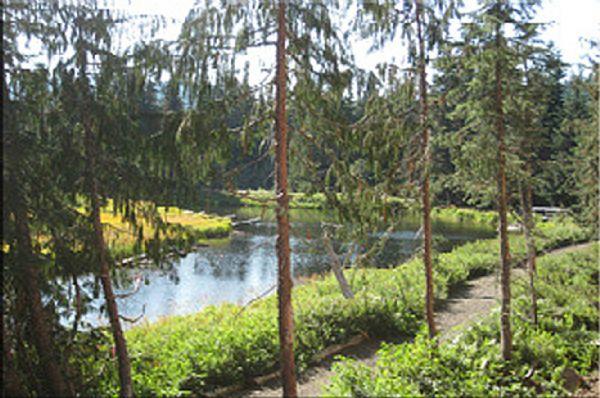 Collins Lake View