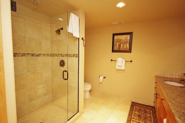 Guest Bathroom Shower