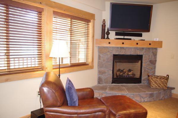 Living Room Gas Fireplace and Tv