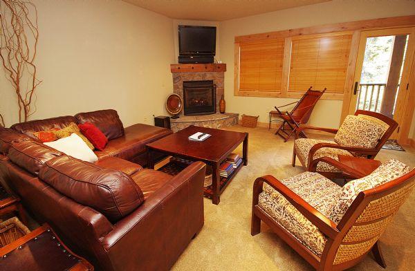 Living Room with Gas Fireplace and Tv
