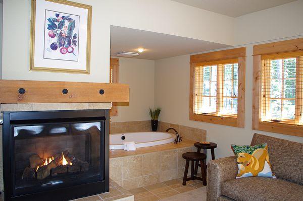Fireplace & Jacuzzi Tub in Master 