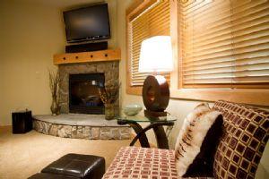 Gas Fireplace in Living Area
