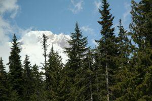 Peak Mountain View