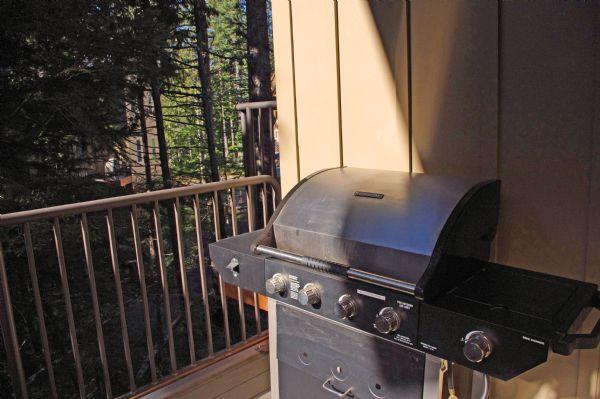 BBQ on the Private Patio