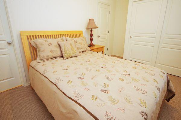 Master Bedroom with Queen Bed