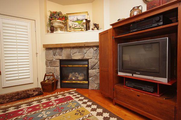 Living Room Gas Fireplace and Tv