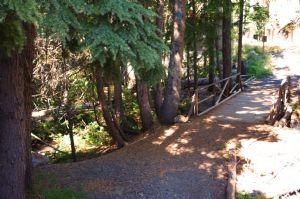 Easy Access to the Collins Lake Trail