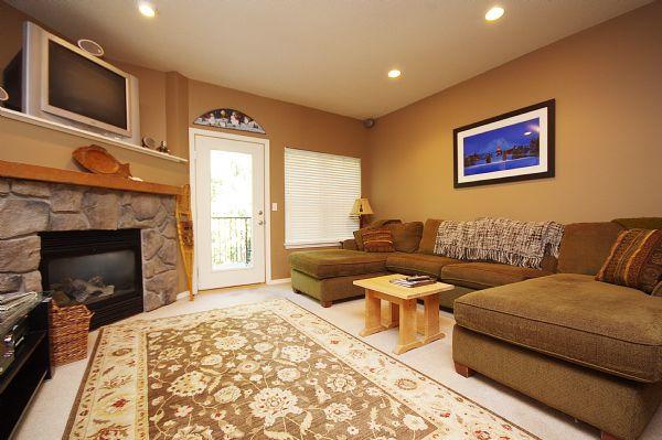 Living Room Gas Fireplace and Tv