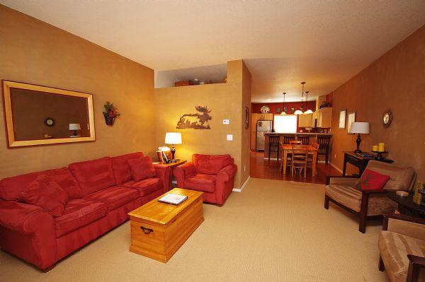 Living Room (Sofa Sleeper)