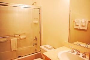 Private Master Bathroom