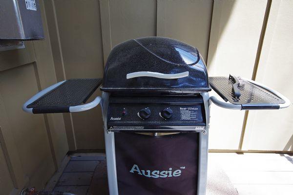 Grill on Private Patio (Propane Provided)