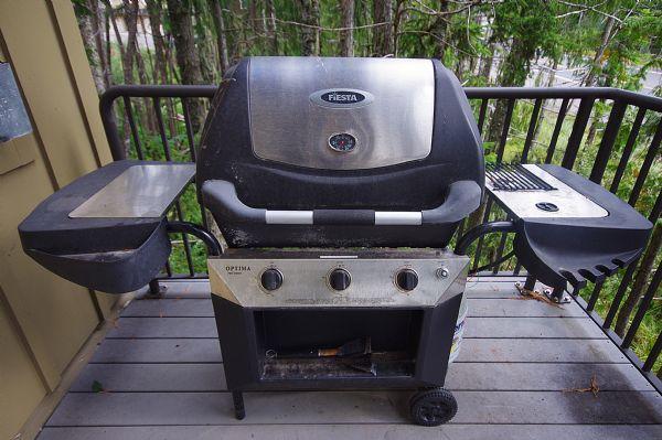 Grill on Private Patio