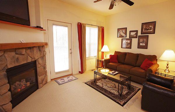 Living Room Gas Fireplace and Tv