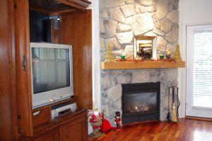 Gas Fireplace in Living Room