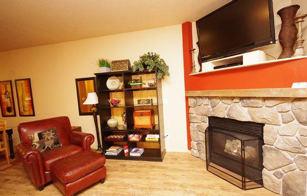 Living Room Gas Fireplace and Tv