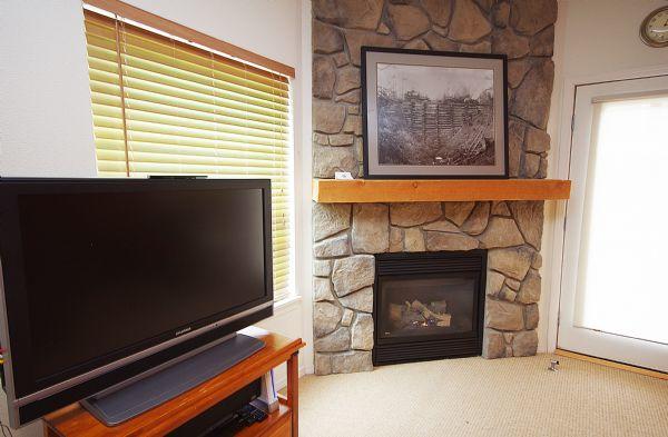 Living Room Tv and Gas Fireplace