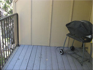 Seasonal Back Deck BBQ