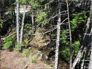 Leisure Pool & Creek Views from Back Deck