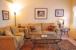 Living Room Sofas (Sofa Sleeper)
