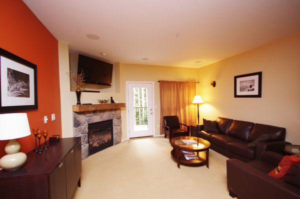 Living Room Tv and Gas Fireplace