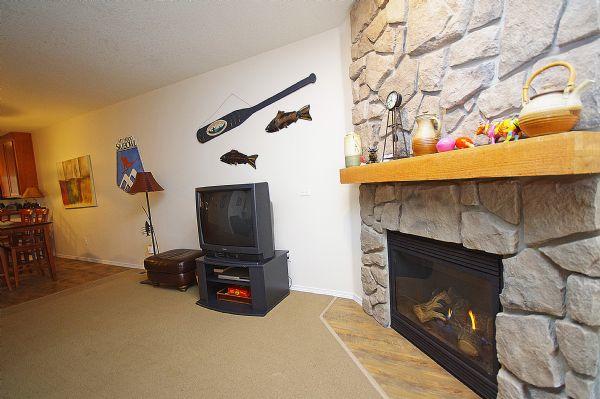 Living Room Gas Fireplace and Tv
