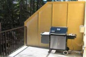 BBQ on Private Patio