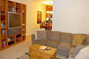 TV & DVD/Video Collection