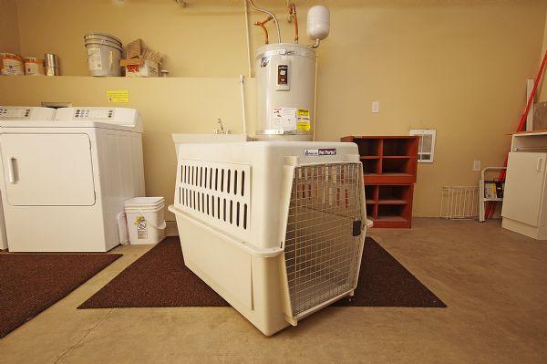 Large Dog Kennel
