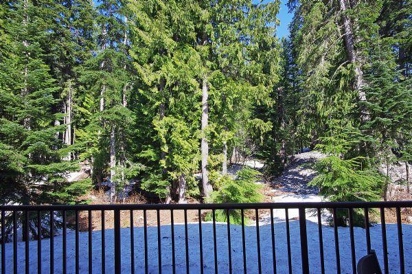 Enjoy the Forest View from the Private Patio