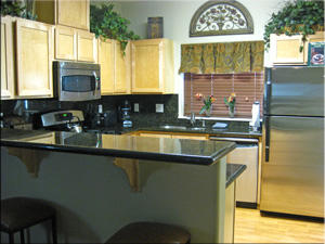 Kitchen and BreakfastBar