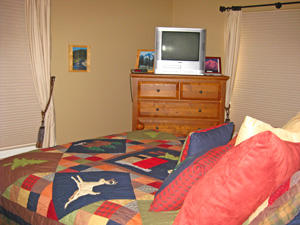 Master Bedroom TV