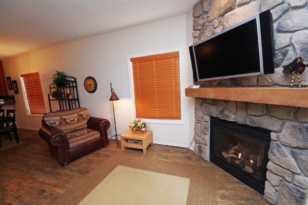 Living Room Gas Fireplace and Tv