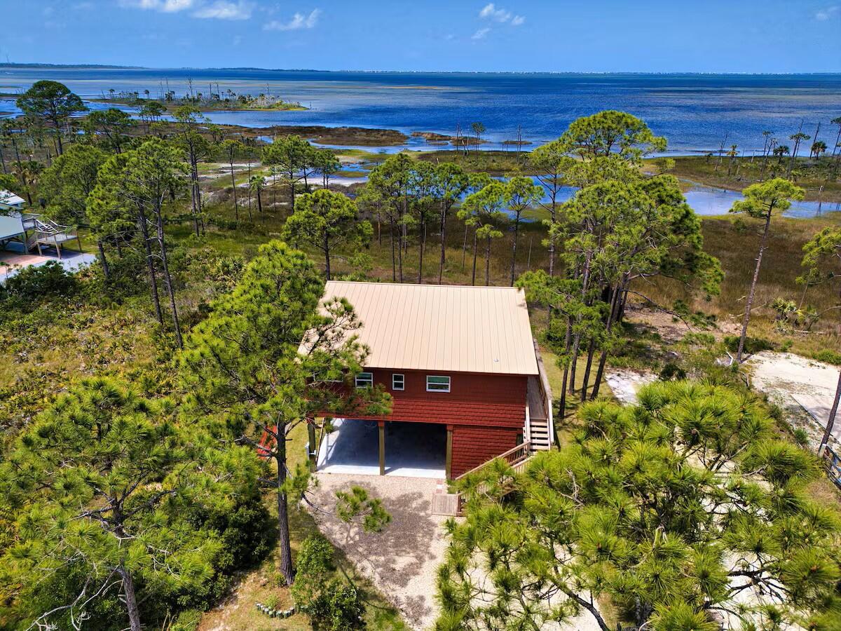 The Red Frog | Photo 3